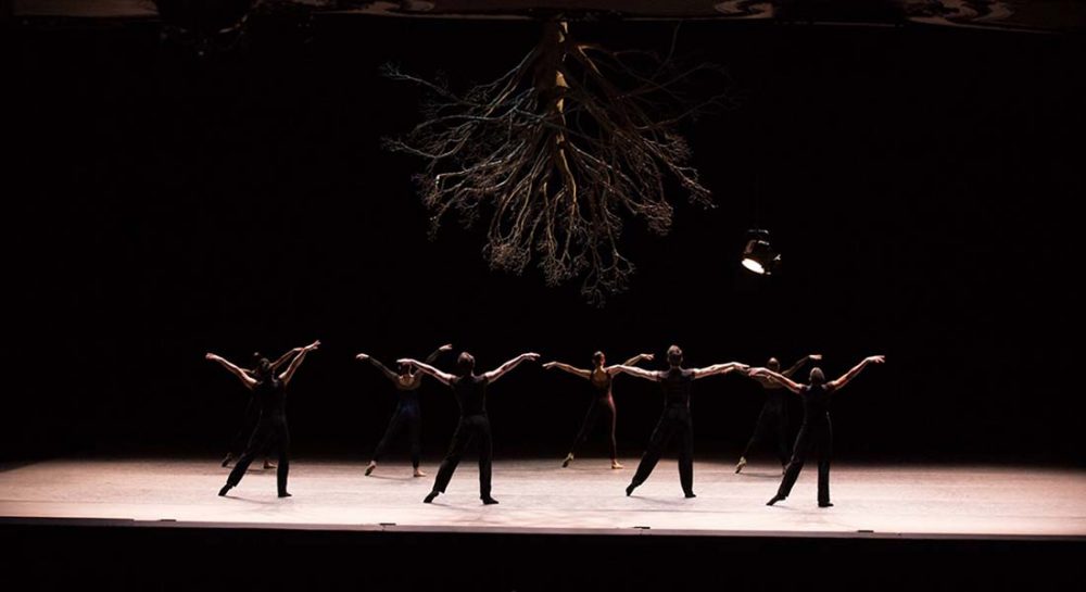 Le Ballet de Boston à Paris avec une œuvre de référence signée Jiří Kylián, Wings of Wax - Critique sortie Danse Paris Théâtre des Champs-Élysées