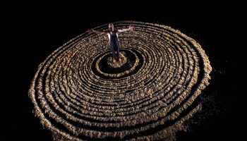 L’Utopie des arbres d’Alexis Louis-Lucas, mis en scène par Pierre Yanelli - Critique sortie Avignon / 2019 Avignon Avignon Off. Théâtre de l'Entrepôt