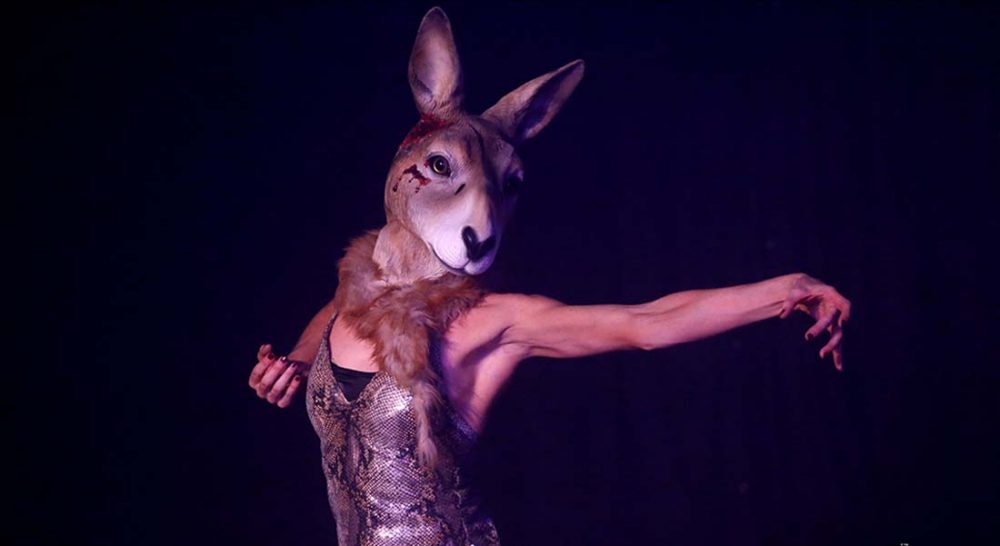 Terror australis de Leah Shelton - Critique sortie Théâtre Bordeaux Théâtre du Pont Tournant