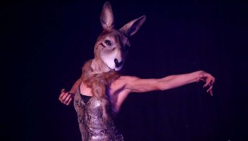 Terror australis de Leah Shelton - Critique sortie Théâtre Bordeaux Théâtre du Pont Tournant