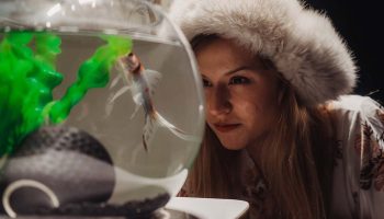 J&rsquo;ai rêvé d&rsquo;un cafard… de Sonia Belskaya - Critique sortie Théâtre Nice Théâtre National de Nice - CDN Nice Côte d'Azur