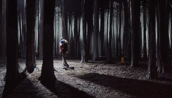 Le Bruit des Loups d’Etienne Saglio - Critique sortie  la Roche-sur-Yon Le Grand R