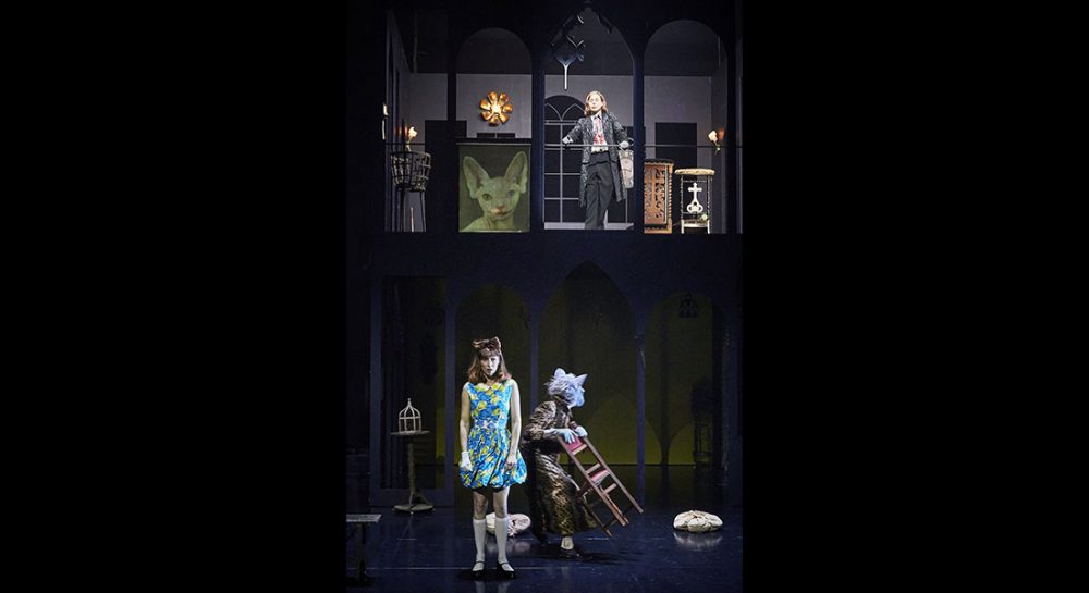 Lewis versus Alice d’après Lewis Carroll , mis en scène par Macha Makeïeff - Critique sortie Théâtre saint denis CDN Théâtre Gérard Philipe