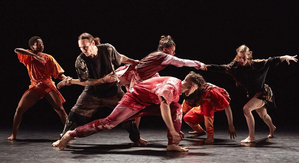 Soirée internationale les compagnies canadienne et belge Tentacle Tribe et Les Mybalés - Critique sortie Danse Bron