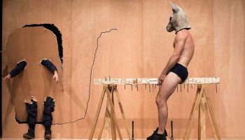 Titre provisoire de Claudio Stellato - Critique sortie  Majolan La Vacherie