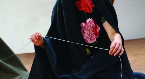 Festival Les Petits Pas à Roubaix - Critique sortie Danse Roubaix LE GYMNASE