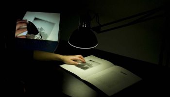 Voyage dans les Alpes augmentées de Camille Scherrer - Critique sortie Théâtre Amiens Le Safran - scène conventionnée.