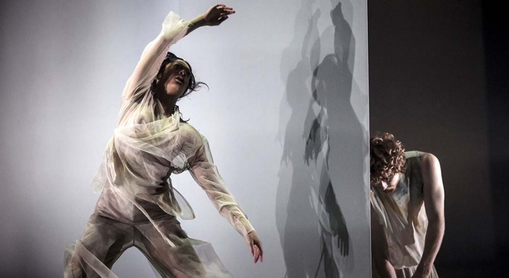 Dust, la danse déliée des interprètes du Dancenorth Australia - Critique sortie  Paris Chaillot - Théâtre national de la danse