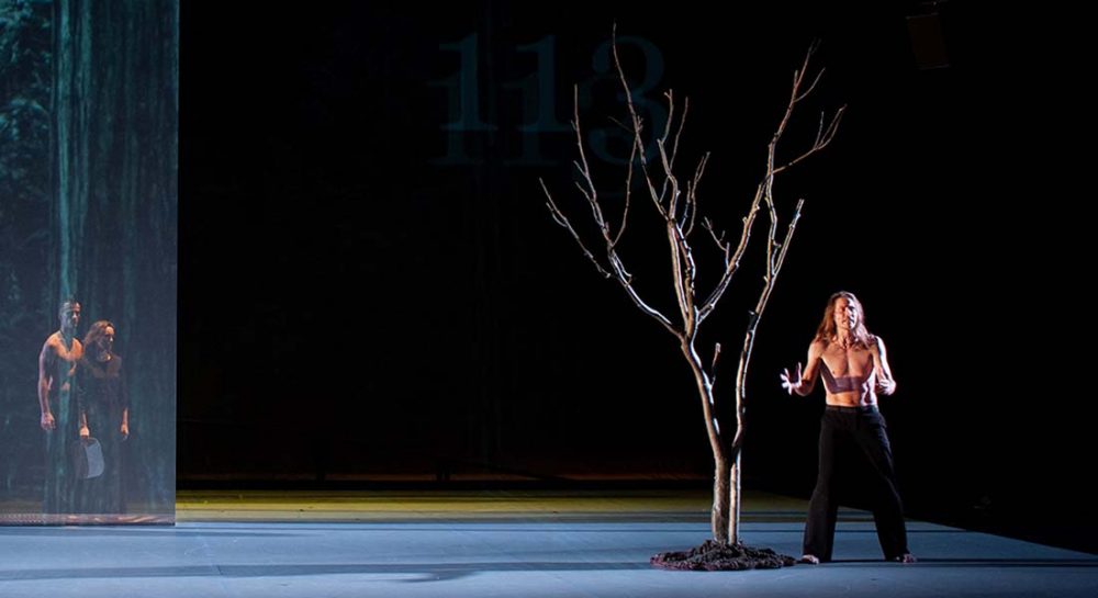 The TREE (Fragments of poetics on fire) de Carolyn Carlson - Critique sortie Danse Paris Chaillot - Théâtre national de la danse