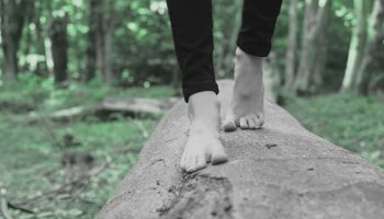 Abaca de Béatrice Massin - Critique sortie Danse Saint-Quentin-en-Yvelines Théâtre de Saint-Quentin-en-Yvelines