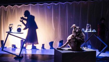 Des Bords de soi la Compagnie L’MRG’ée - Critique sortie  Antony Théâtre Firmin Gémier La Piscine