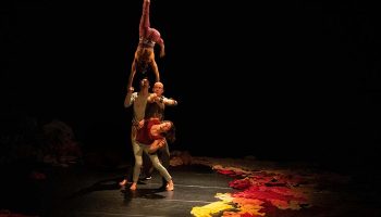 La Nuit du cirque au Mans - Critique sortie Cirque Le Mans Pôle régional Cirque Le Mans