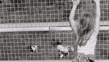 Seven Winters de Yasmine Hugonnet - Critique sortie Danse Paris Atelier de Paris / CDCN - Cartoucherie