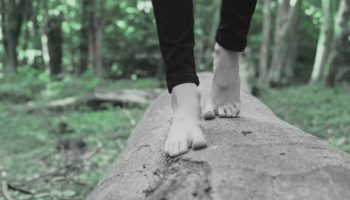 ABACA de Béatrice Massin - Critique sortie Danse Saint-Quentin-en-Yvelines __Théâtre de Saint-Quentin en Yvelines