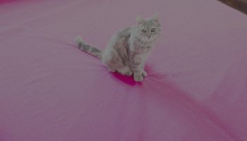 Je ne suis plus inquiet de Scali Delpeyrat - Critique sortie Théâtre Paris Espace Pierre Cardin - Théâtre de la Ville