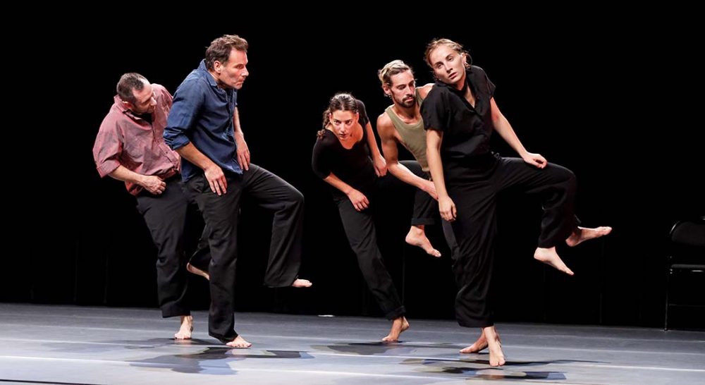 Facéties de Christian et François Ben Aïm - Critique sortie Danse Mâcon Le Théâtre - scène nationale de Mâcon