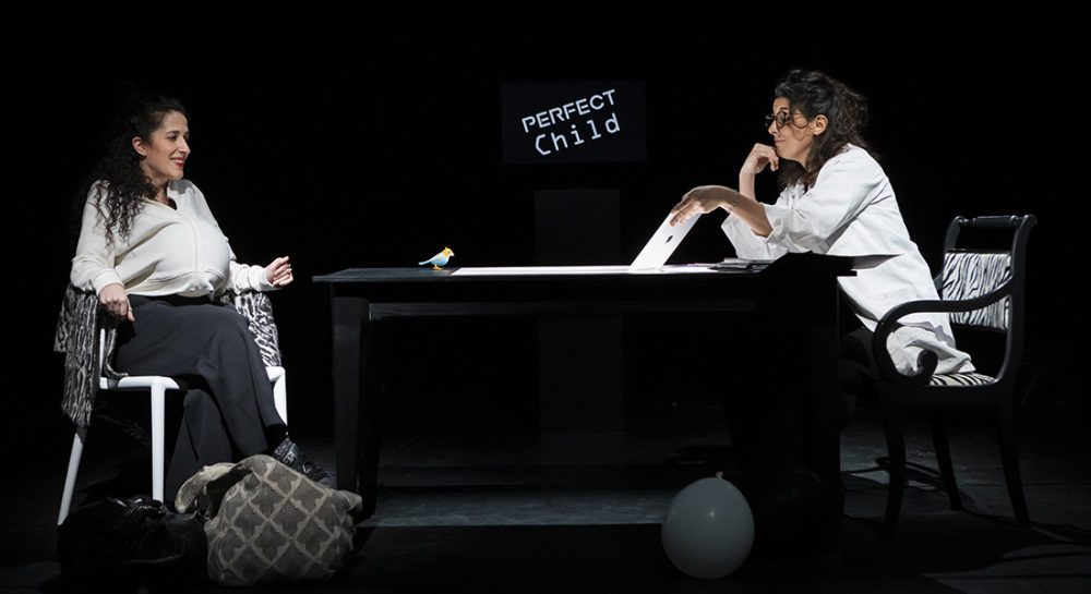 Et leurs cerveaux qui dansent, conception et interprétation Séphora Haymann et Vanessa Bettane - Critique sortie Théâtre Paris Plateaux Sauvages