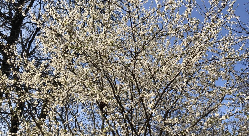 Alors quel printemps ? Et quel été ? - Critique sortie Théâtre