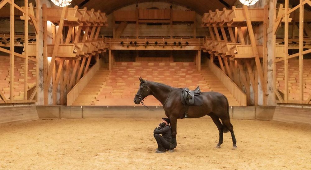 Entretiens silencieux de Bartabas - Critique sortie Théâtre Versailles Académie équestre de Versailles