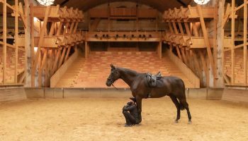 Entretiens silencieux de Bartabas - Critique sortie Théâtre Versailles Académie équestre de Versailles