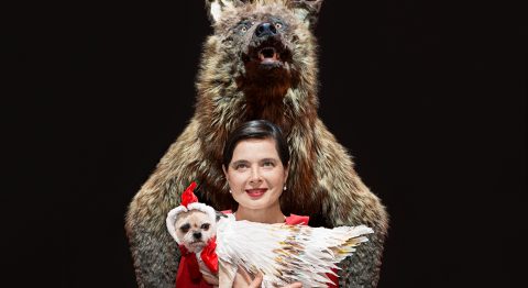 Isabella Rossellini et le fantôme de Darwin - Critique sortie Théâtre Paris Musée d'Orsay