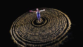 L’utopie des arbres d’Alexis Louis-Lucas, mise en scène Pierre Yanelli - Critique sortie Avignon / 2021 Avignon Avignon Off. Théâtre L'Entrepôt