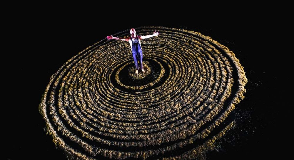 L’utopie des arbres d’Alexis Louis-Lucas, mise en scène Pierre Yanelli - Critique sortie Théâtre Avignon Théâtre l'Entrepôt