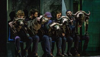 Buffles de Pau Miró, mise en scène d’Emilie Flacher - Critique sortie Théâtre Avignon Le 11. Avignon