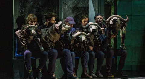 Buffles de Pau Miró, mise en scène d&rsquo;Emilie Flacher - Critique sortie Théâtre Avignon Le 11. Avignon