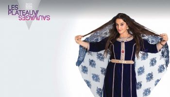 La Nuit Estelle Meyer - Critique sortie Théâtre Paris Les Plateaux Sauvages