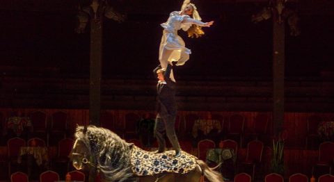 Le Cabaret de l&rsquo;exil, de Bartabas - Critique sortie Théâtre saint denis Théâtre Équestre Zingaro