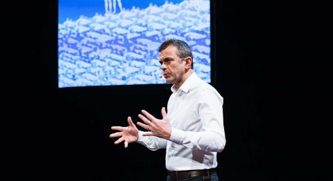 De la Morue, Cartographie 6 de et par Frédéric Ferrer - Critique sortie Théâtre Paris Maif Social Club