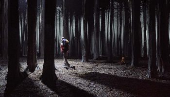 Le Bruit des Loups d&rsquo;Étienne Saglio - Critique sortie Théâtre Paris Théâtre du Rond-Point