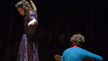 Les Dodos, création collective Le P’tit Cirk - Critique sortie Théâtre Antony Espace cirque d'Antony