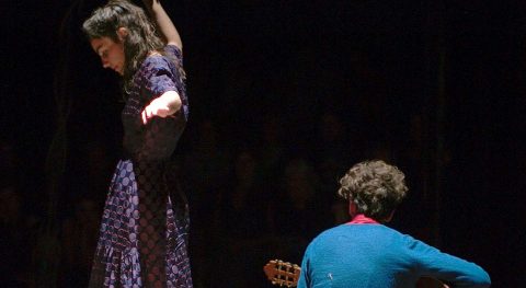 Les Dodos, création collective Le P&rsquo;tit Cirk - Critique sortie Théâtre Antony Espace cirque d'Antony