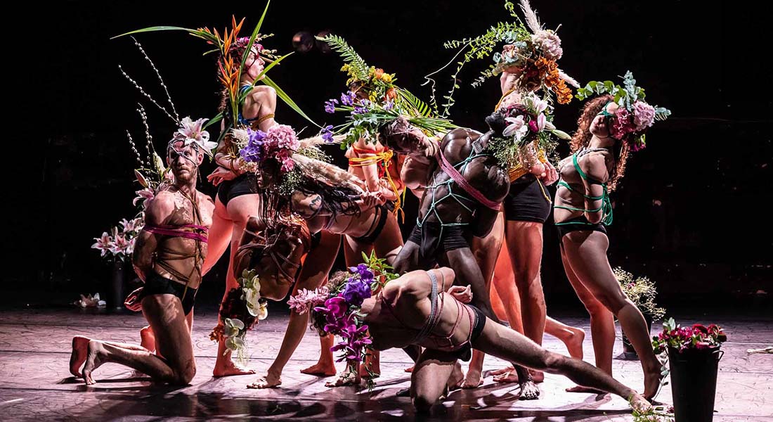 Nos désirs font désordre - Critique sortie Danse Paris Chaillot - Théâtre national de la danse