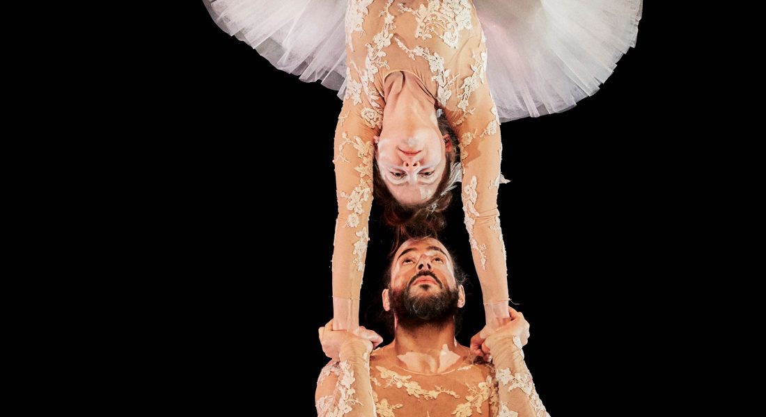 Le Lac des Cygnes de Florence Caillon - Critique sortie Danse Rungis THEATRE DE RUNGIS