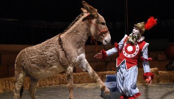 La Chanson de Roland de Jean Lambert-wild - Critique sortie  Paris Théâtre de la Tempête – Cartoucherie