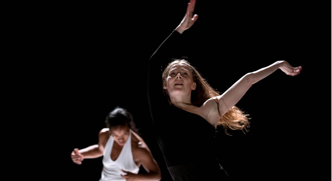 TWICE # 2, par le duo Hafiz Dhaou & Aïcha M’Barek et Alexander Vantournhout - Critique sortie Danse Vanves L'Ode Conservatoire de Vanves