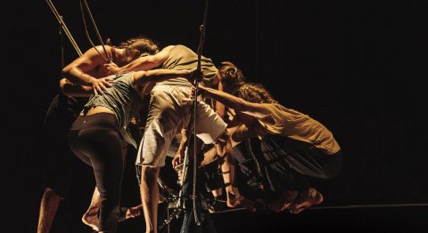 À paraître : cahier spécial rentrée circassienne 2022 - Critique sortie Cirque France