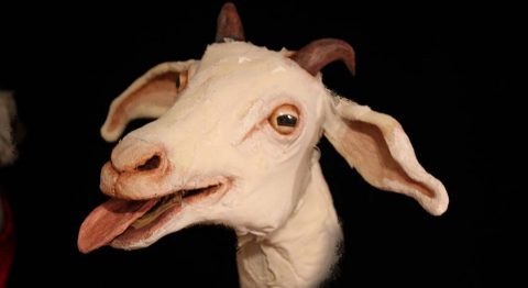 L’inventive et originale Cie Deraïdenz crée Byba Youv, la Sorcière qui rêvait d&rsquo;être une Chèvre - Critique sortie Avignon / 2022 Avignon Avignon off. Théâtre Transversal