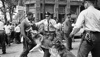 Combat de nègre et de chiens, de Bernard-Marie Koltès, mise en scène de Mathieu Boisliveau - Critique sortie Théâtre Créteil Mac Créteil Maison des Arts