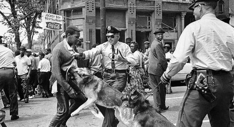 Combat de nègre et de chiens, de Bernard-Marie Koltès, mise en scène de Mathieu Boisliveau - Critique sortie Théâtre Créteil Mac Créteil Maison des Arts