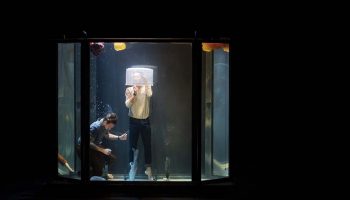 Out of the blue de Frédéric Vernier et Sébastien Davis-Vangelder - Critique sortie Cirque Gap La Passerelle