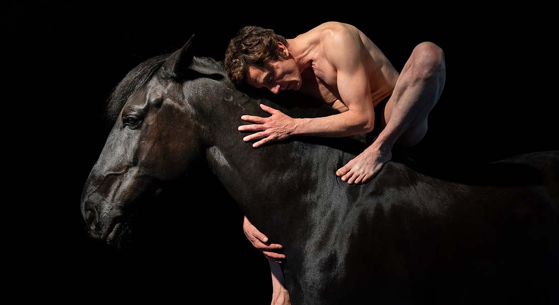 ANIMAL, Danser avec le vivant, rencontre avec  Kaori Ito - Critique sortie Danse la Roche-sur-Yon Le Grand R