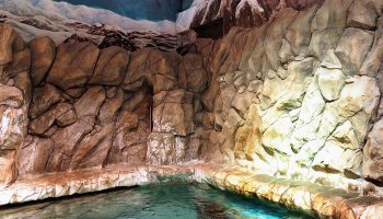 DREAM d’Alessandro Sciarroni - Critique sortie Danse Paris Le CENTQUATRE-PARIS