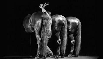 Animal – Danser avec le vivant par Kaori Ito et Manolo : un dialogue gracieux et sensuel entre l’homme et le cheval - Critique sortie Cirque Grenoble MC2 : Maison de la Culture