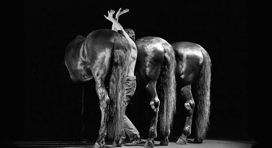 Animal – Danser avec le vivant par Kaori Ito et Manolo : un dialogue gracieux et sensuel entre l’homme et le cheval - Critique sortie Cirque Grenoble MC2 : Maison de la Culture