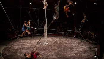 Cœurs Sauvages, écriture et mise en piste Antoine Rigot et Agathe Olivier  - Critique sortie  Marseille