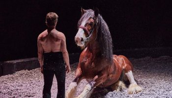 Métamorphoses de Nolwen Gehlker, mise en scène de Camille Galle - Critique sortie 